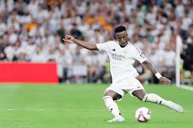 面积开发 面积开发